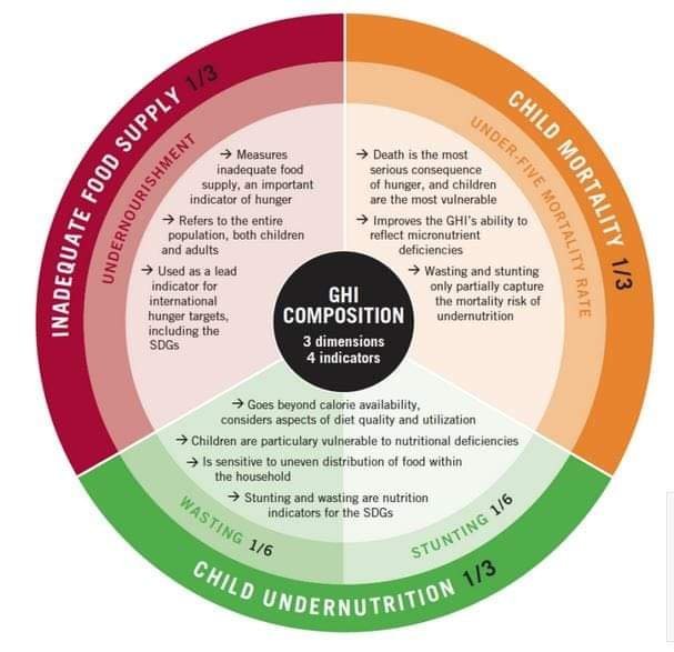 THE 2022 GLOBAL HUNGER INDEX 