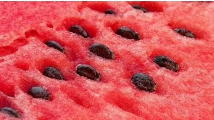 THE BENEFITS OF WATERMELON SEEDS