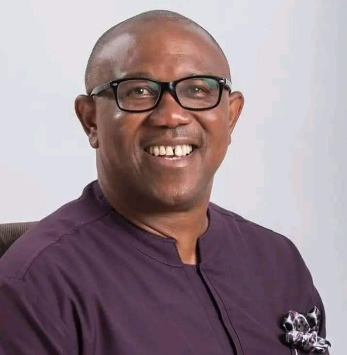 STEAL PUBLIC MONEY UNDER LABOUR PARTY AND FACE GOVERNMENT WRATH – PETER OBI 
