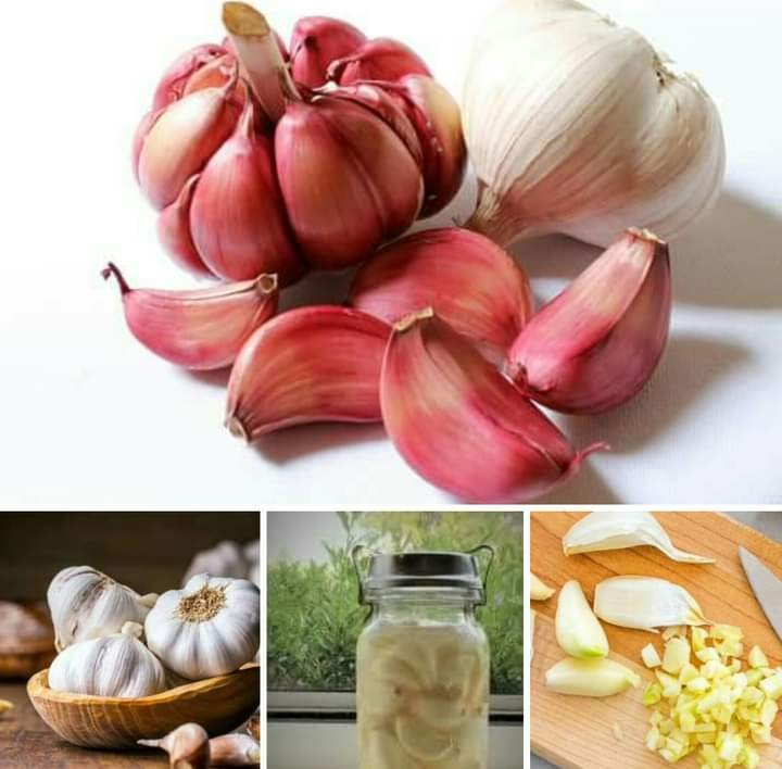 GARLIC ( THE POOR MAN PENICILLIN)