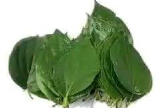 HOME HERBAL REMEDY TO RESTORE CEASED MENSTRUATION ONCE YOU ARE NOT UP TO THE MANUPOSE