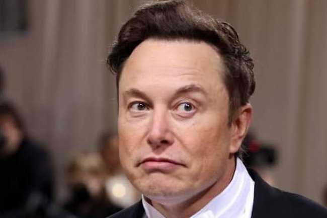 ELON MUSK PLEADS WITH ADVERTISERS TO STAY ON TWITTER