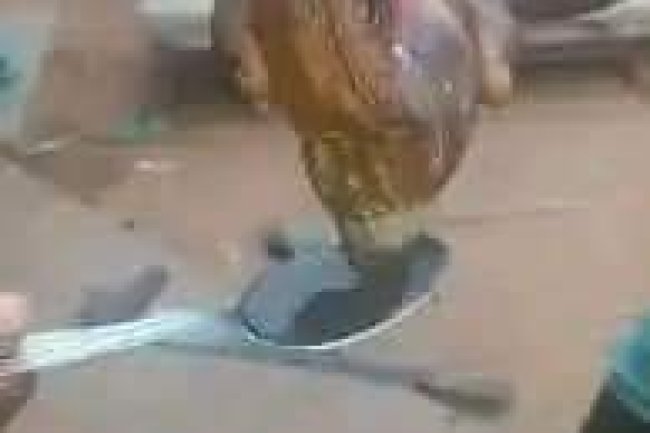 STROKE PERMANENT CURE 