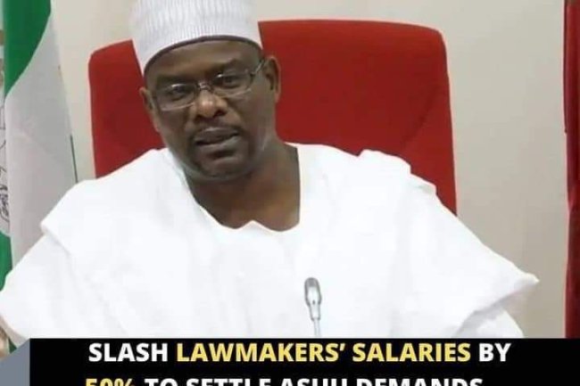 SLASH LAWMAKERS’ SALARIES BY 50% TO SETTLE ASUU DEMANDS — ALI NDUME 