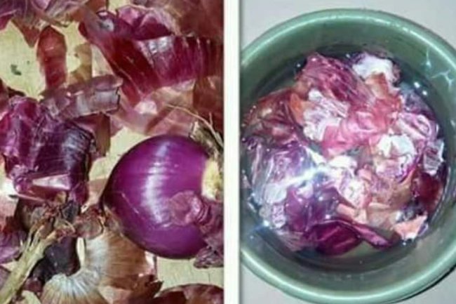 ONION PEEL AS A MOSQUITO KILLER 