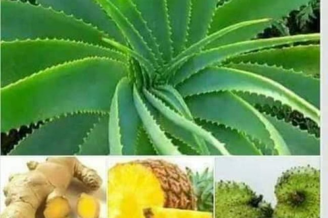 HERBAL REMEDY FOR CANCER THAT WORKS MIRACULOUSLY