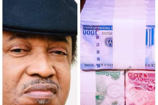 NAIRA STILL DEPRECIATING DESPITE REDESIGN - SANI SHEHU