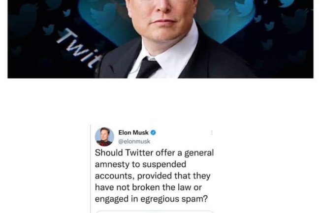 ELON MUSK MULLS 'GENERAL AMNESTY' FOR SUSPENDED TWITTER ACCOUNTS