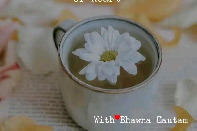 WHAT MAKES SOME PEOPLE SO POSITIVE IN LIFE?