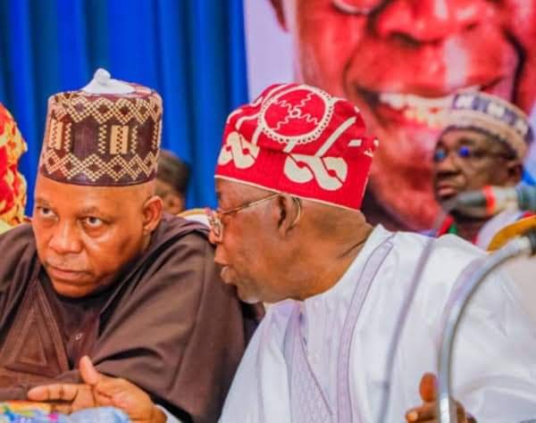 TINUBU MADE BUHARI PRESIDENT IN 2015, NOW PAYBACK TIME FOR HIM – SHETTIMA