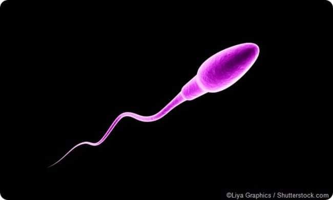 LOW SPERM COUNT: ALL YOU NEED TO KNOW 