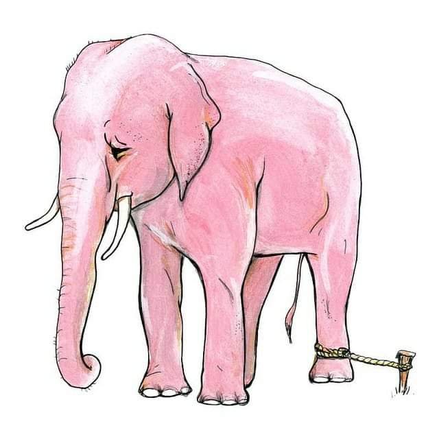 THE ELEPHANT AND THE ROPE (BEST INSPIRATIONAL SHORT STORIES ABOUT LIFE)