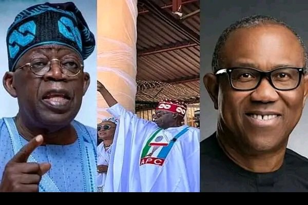 I’LL RETURN PETER OBI TO ANAMBRA – TINUBU