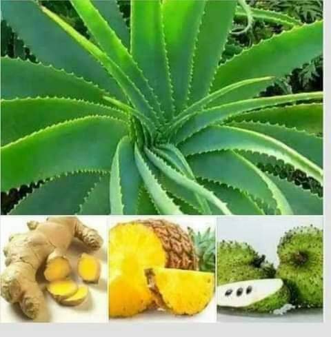 HERBAL REMEDY FOR CANCER THAT WORKS MIRACULOUSLY