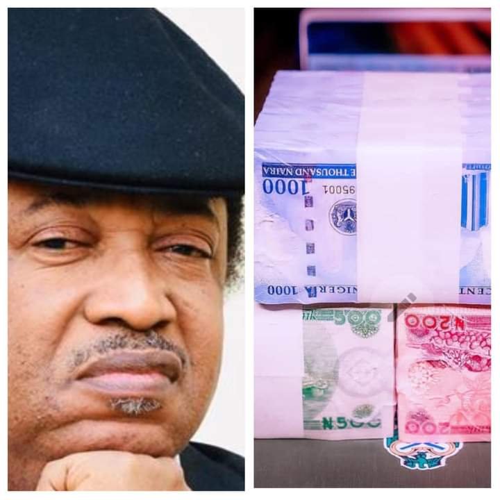 NAIRA STILL DEPRECIATING DESPITE REDESIGN - SANI SHEHU