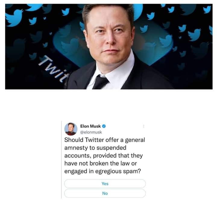 ELON MUSK MULLS 'GENERAL AMNESTY' FOR SUSPENDED TWITTER ACCOUNTS