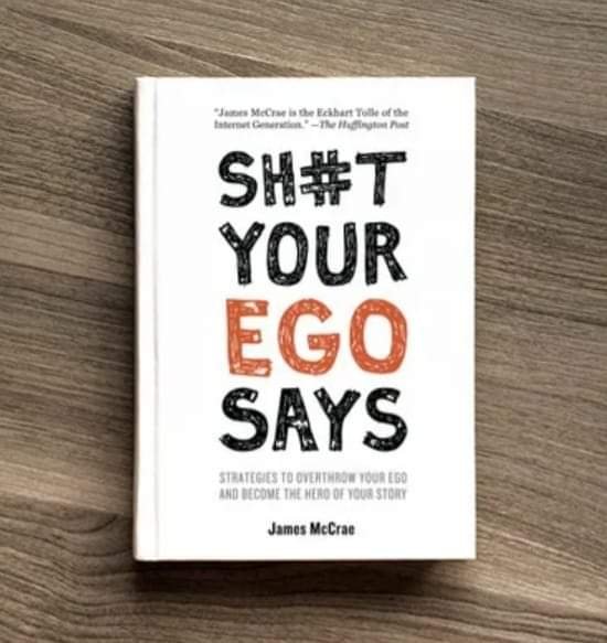 TOP 5 LESSON LEARNED FROM BOOK - SH#T YOUR EGO SAYS