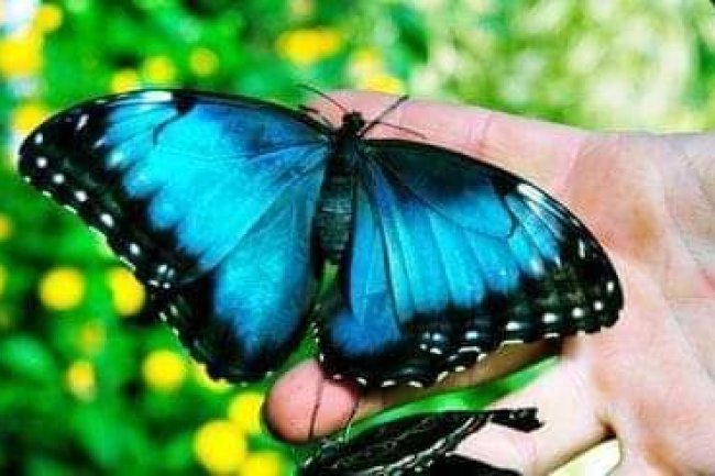 READ THIS LIFE CHANGING STORY.......... 