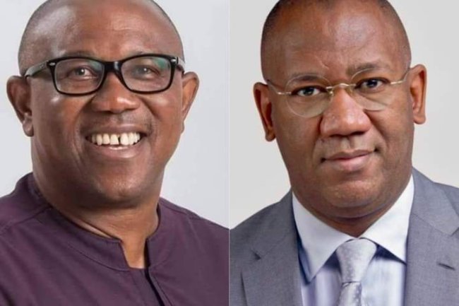 KNOCKS, KUDOS TRAIL LABOUR PARTY'S MANIFESTO