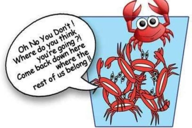 THE STORY OF THE CRAB BUCKET