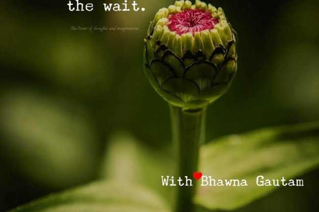 HOW CAN WE REMAIN PATIENT WHEN THINGS TAKE LONGER TO HAPPEN?