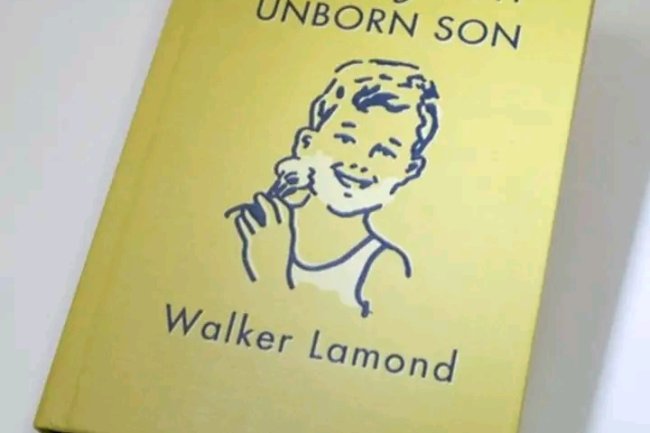 10 IMPORTANT LESSONS FROM BOOK -"RULES FOR MY UNBORN SON"