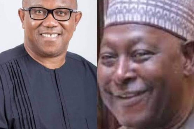 "I REMAIN A PETER OBI DIEHARD, ANY NEWS TO THE CONTRARY IS FAKE" – BABACHIR LAWAL