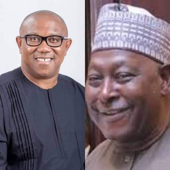 "I REMAIN A PETER OBI DIEHARD, ANY NEWS TO THE CONTRARY IS FAKE" – BABACHIR LAWAL