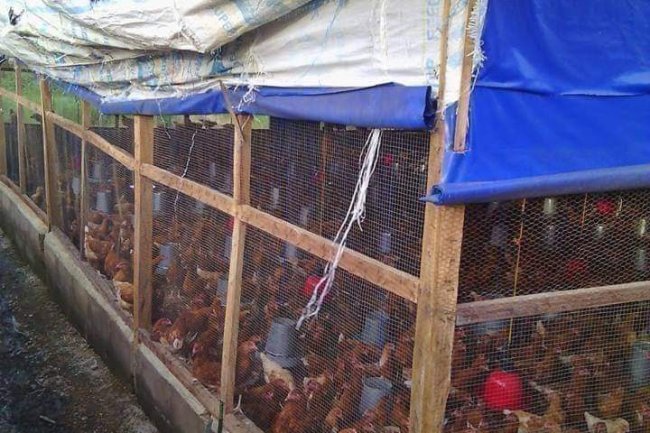HOW TO CONSTRUCT A POULTRY HOUSE: