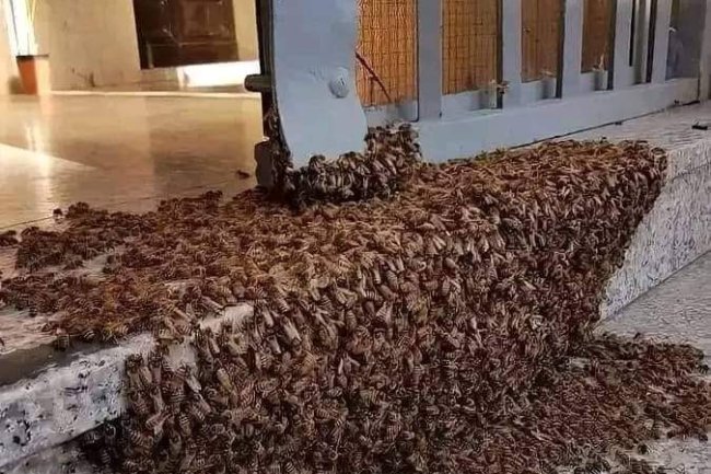 WHEN YOU SEE SOMETHING LIKE THIS, DON'T BE AFRAID. SEE WHAT TO DO!