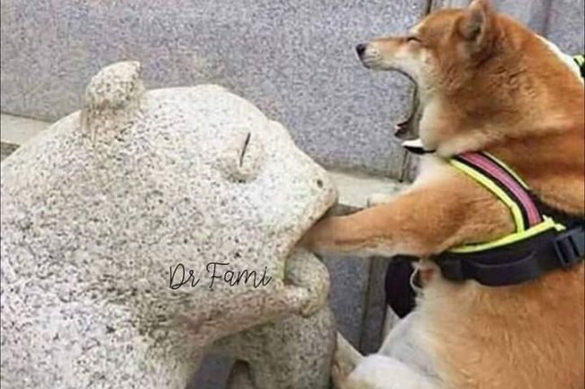 I’M SLOWLY LEARNING THAT I DON’T HAVE TO REACT TO EVERYTHING THAT BOTHERS ME