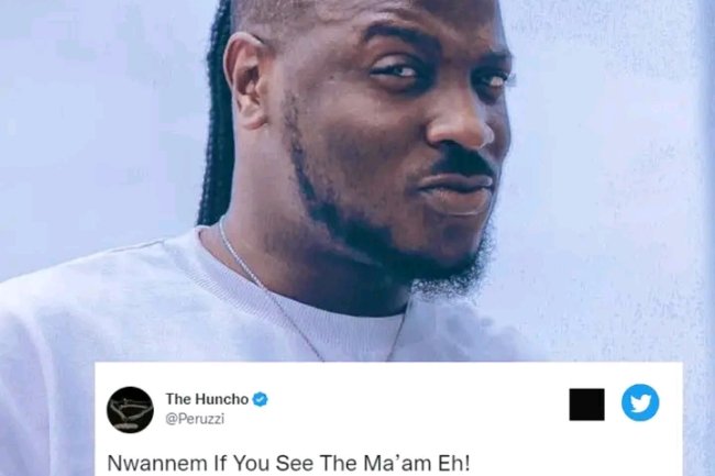 ‘IT IS MERMAID’ FANS ARGUE WITH PERUZZI OVER SONG, 'MAJESTY', LYRICS
