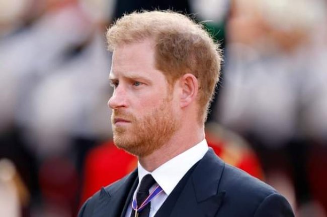 THE SPARE: HERE IS ALL YOU NEED TO KNOW ABOUT PRINCE HARRY'S MEMOIR 