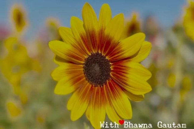 WHAT DOES A NEW DAY MEAN TO YOU?