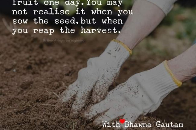 ARE OUR EFFORTS ALWAYS REWARDED?