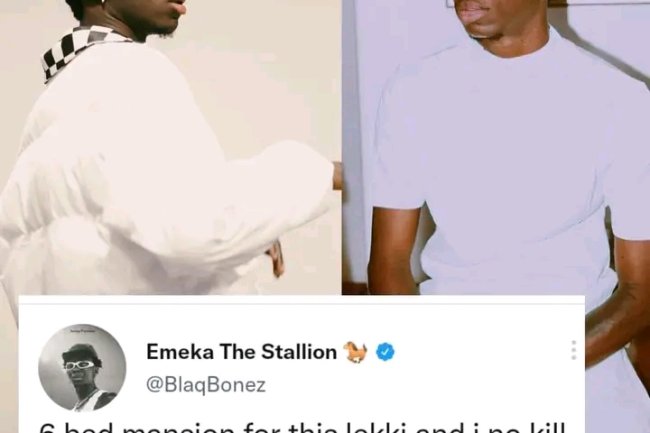 HAVE YOU NOTICED THAT ALMOST ALL NIGERIAN ARTISTES HAVE MANSIONS?