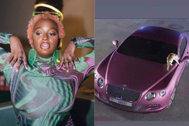 “ENEMY OF PROGRESS, EVERY SINGLE NIGHT” – DJ CUPPY CALLS OUT CAT PLAGUING HER 