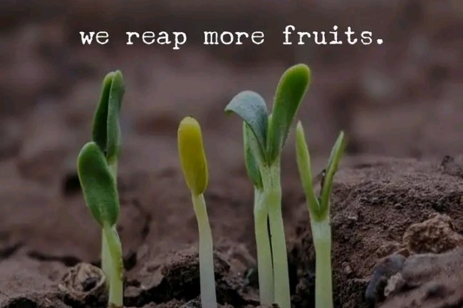 DO WE SEE HIGHER GROWTH WHEN WE TEAM UP? 