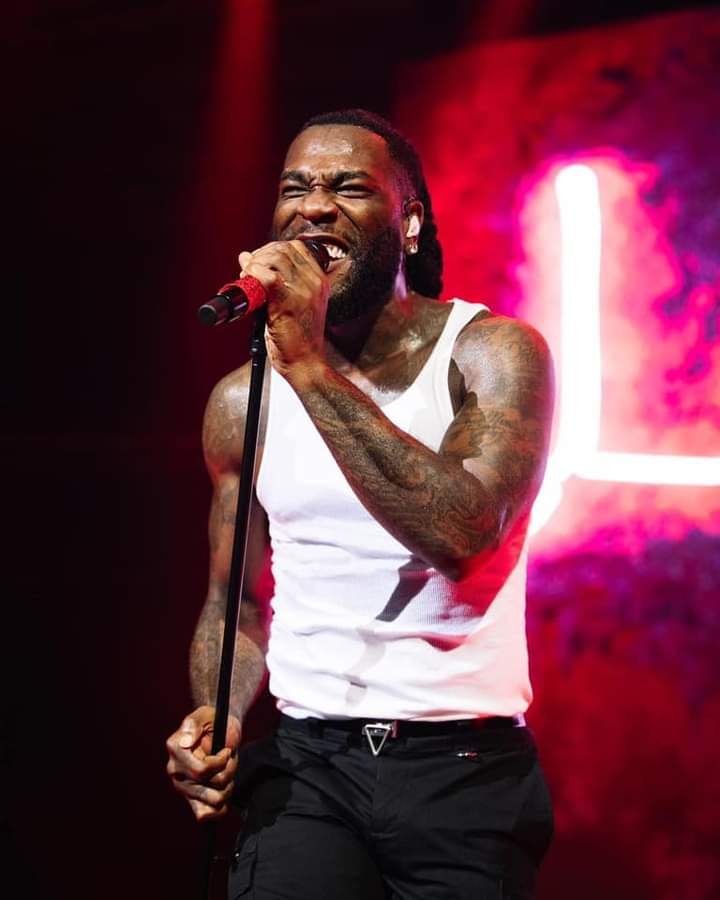 “UNPROGRESSIVE FOOLS, GOD PUNISH UNA“, BURNA BOY CURSE FANS 