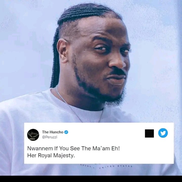 ‘IT IS MERMAID’ FANS ARGUE WITH PERUZZI OVER SONG, 'MAJESTY', LYRICS