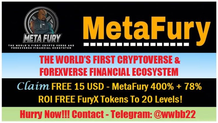 NEVER WORRY ABOUT MONEY EVER AGAIN? | INTRODUCING METAFURY