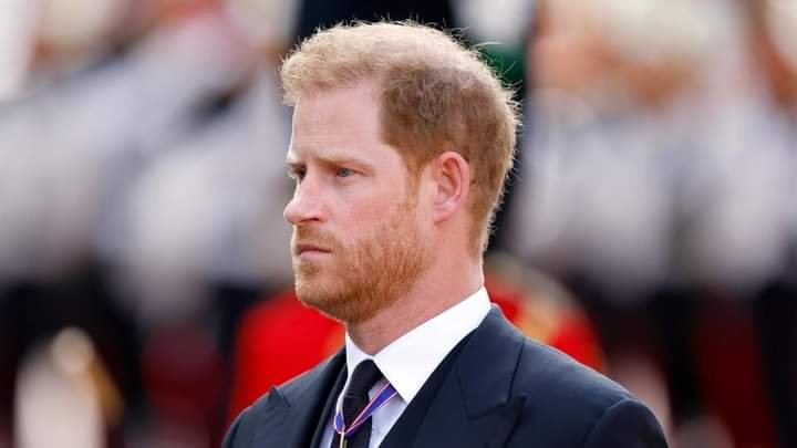 THE SPARE: HERE IS ALL YOU NEED TO KNOW ABOUT PRINCE HARRY'S MEMOIR 