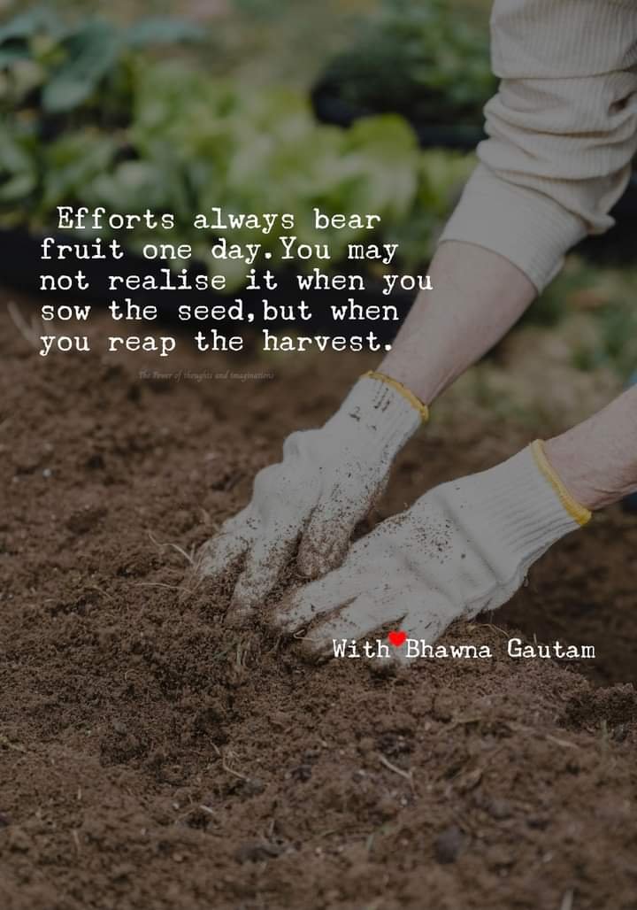 ARE OUR EFFORTS ALWAYS REWARDED?