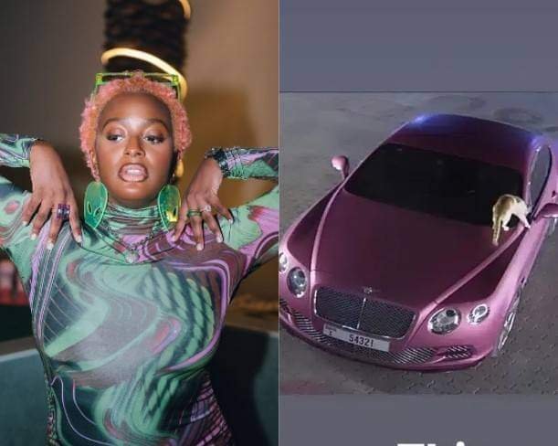 “ENEMY OF PROGRESS, EVERY SINGLE NIGHT” – DJ CUPPY CALLS OUT CAT PLAGUING HER 