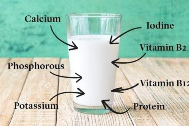NUTRITIONAL VALUES OF MILK