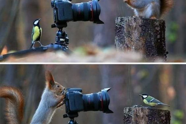 TIME FOR GOOD THOUGHTS 