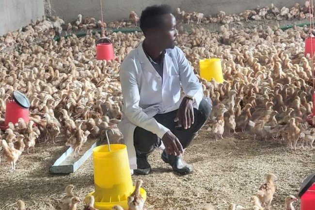 THE NOT SO ORDINARY LIFE