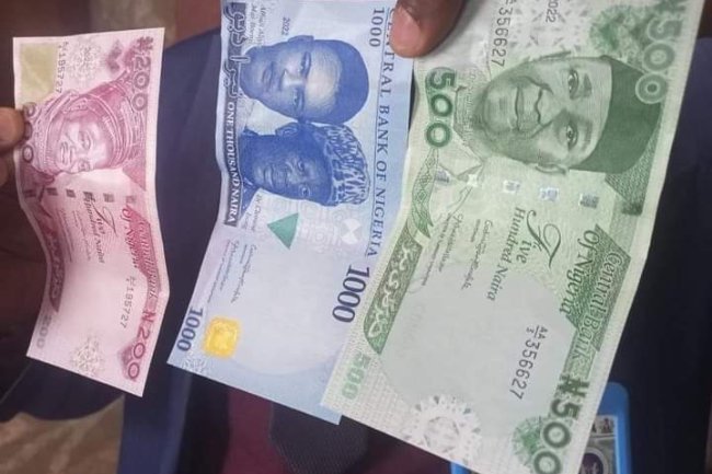 HOW TO IDENTIFY, SPOT FAKE REDESIGNED NAIRA NOTES | BY ALAO ABIODUN