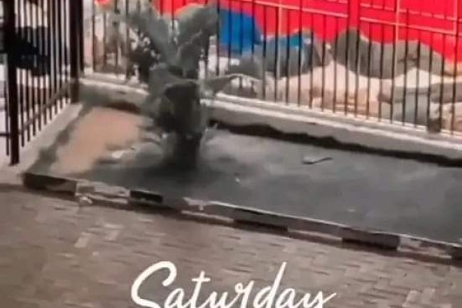 RESIDENTS PASS THE NIGHT AT ATM STAND IN ABUJA