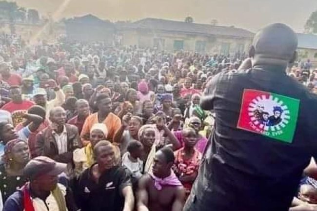 LP SEEKS POSTPONEMENT OF ELECTIONS IN ONDO OVER MISSING LOGO